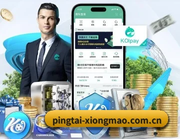pingtai-xiongmao.com.cn APP 深度功能